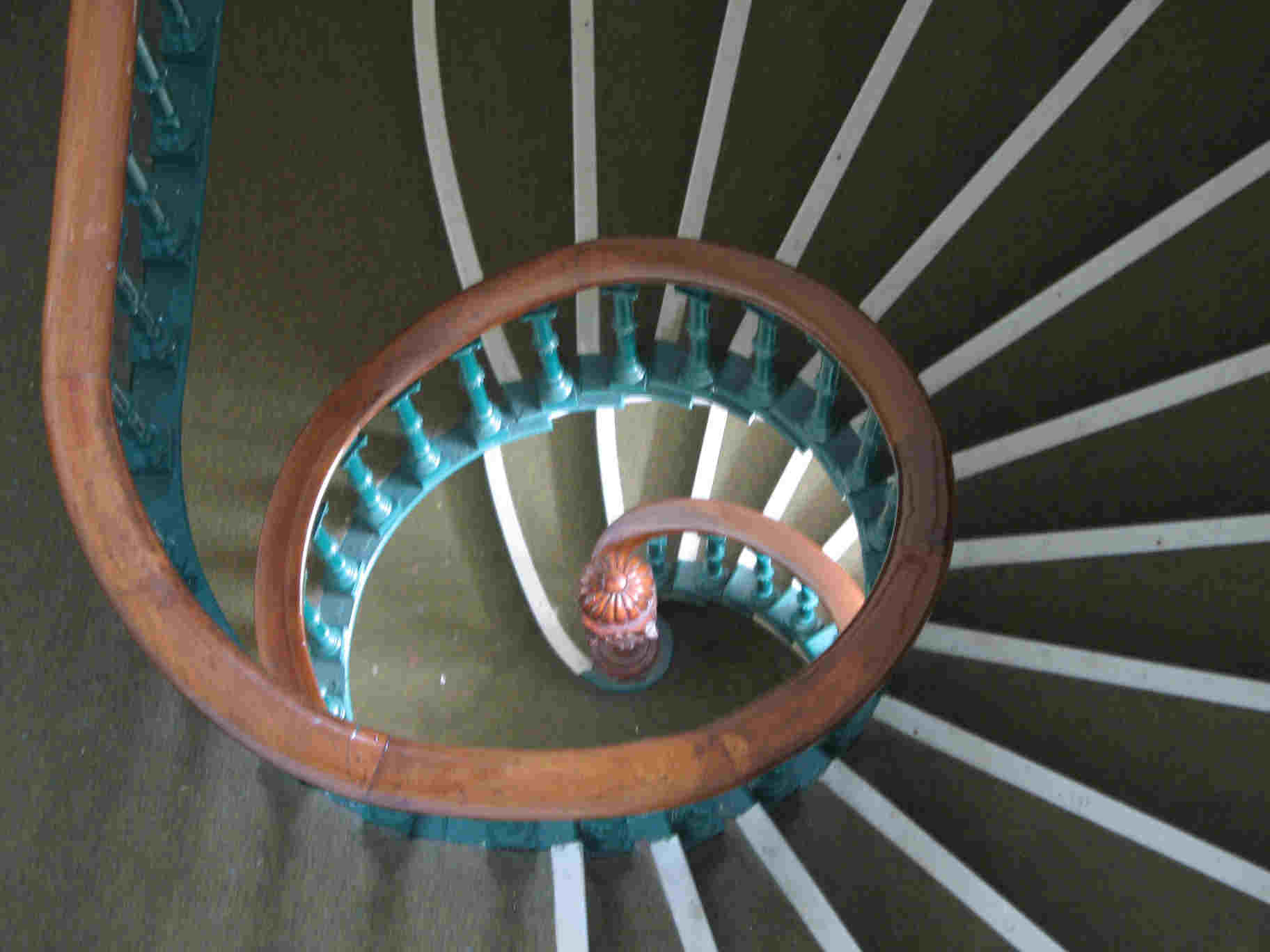 Elmwood Hall staircase Pic: David Byers